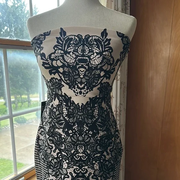 Express (NWT)- Black and White Strapless Sheath Dress - Picture 7 of 16